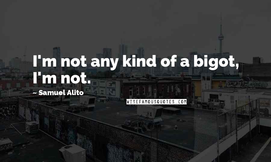 Samuel Alito Quotes: I'm not any kind of a bigot, I'm not.