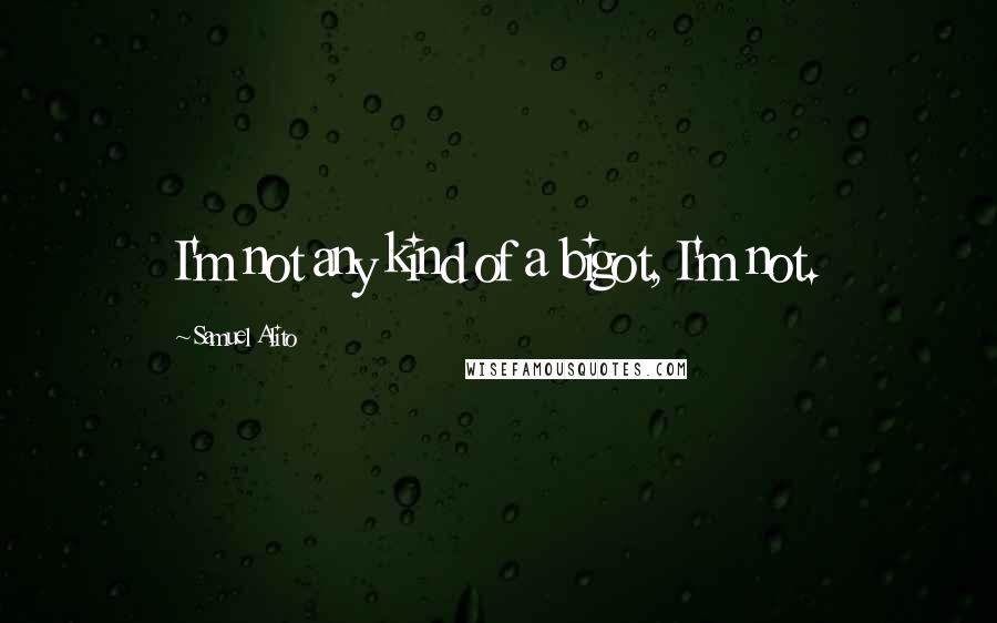 Samuel Alito Quotes: I'm not any kind of a bigot, I'm not.