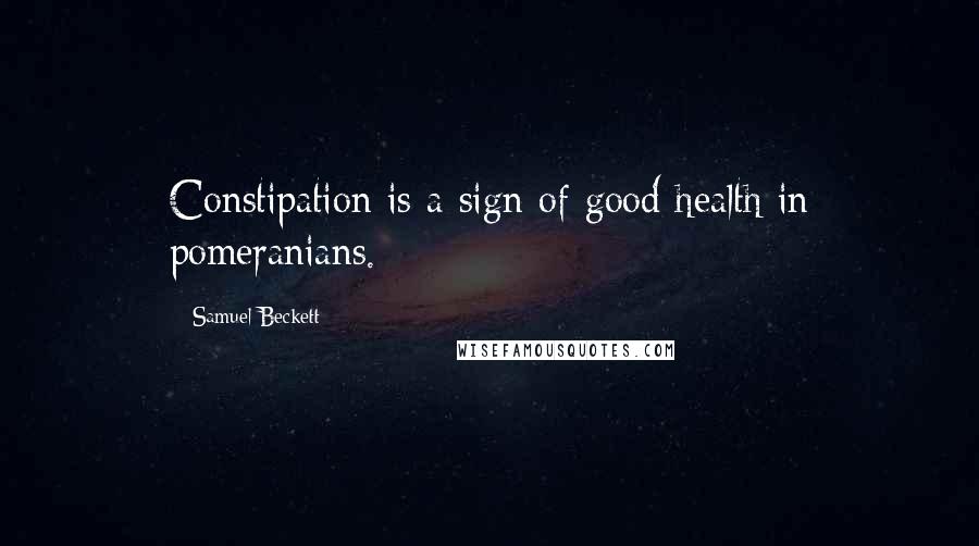 Samuel Beckett Quotes: Constipation is a sign of good health in pomeranians.