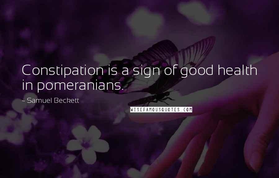 Samuel Beckett Quotes: Constipation is a sign of good health in pomeranians.
