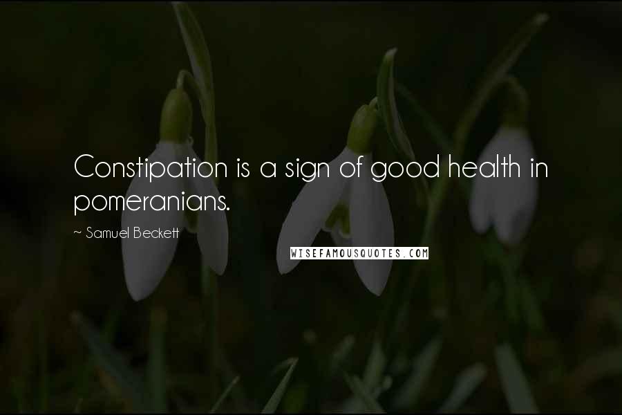 Samuel Beckett Quotes: Constipation is a sign of good health in pomeranians.