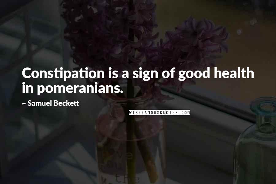 Samuel Beckett Quotes: Constipation is a sign of good health in pomeranians.