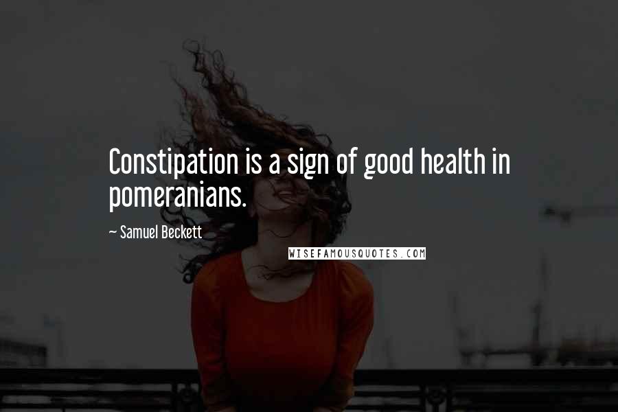 Samuel Beckett Quotes: Constipation is a sign of good health in pomeranians.