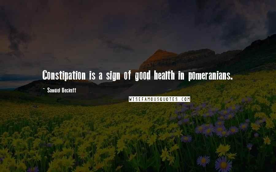 Samuel Beckett Quotes: Constipation is a sign of good health in pomeranians.