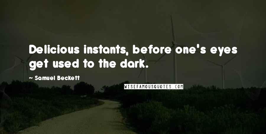 Samuel Beckett Quotes: Delicious instants, before one's eyes get used to the dark.