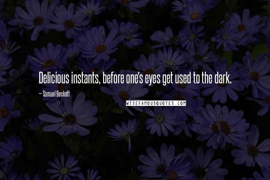 Samuel Beckett Quotes: Delicious instants, before one's eyes get used to the dark.