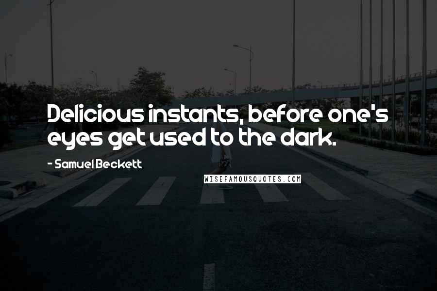 Samuel Beckett Quotes: Delicious instants, before one's eyes get used to the dark.