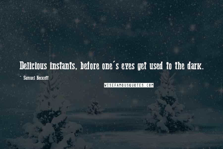 Samuel Beckett Quotes: Delicious instants, before one's eyes get used to the dark.