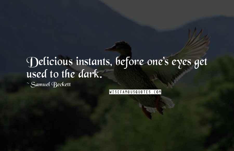 Samuel Beckett Quotes: Delicious instants, before one's eyes get used to the dark.