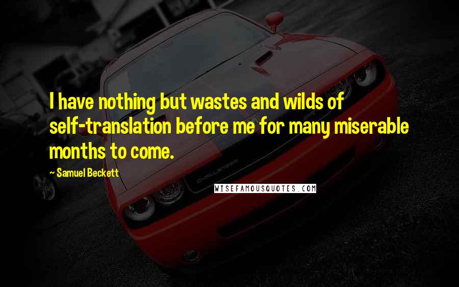 Samuel Beckett Quotes: I have nothing but wastes and wilds of self-translation before me for many miserable months to come.