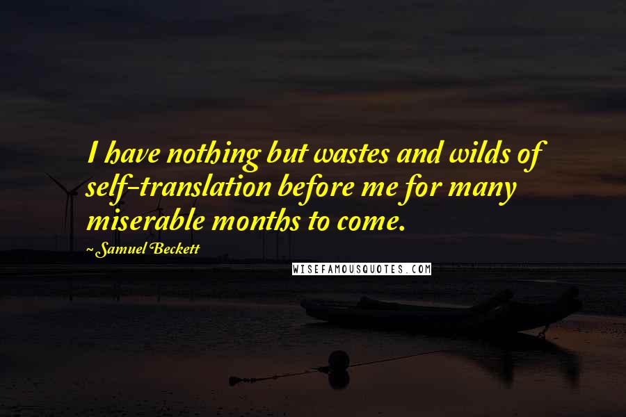 Samuel Beckett Quotes: I have nothing but wastes and wilds of self-translation before me for many miserable months to come.