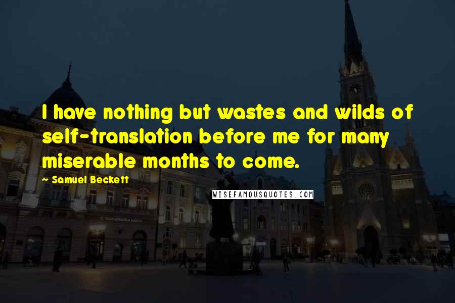 Samuel Beckett Quotes: I have nothing but wastes and wilds of self-translation before me for many miserable months to come.