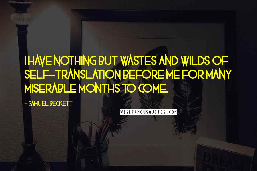 Samuel Beckett Quotes: I have nothing but wastes and wilds of self-translation before me for many miserable months to come.