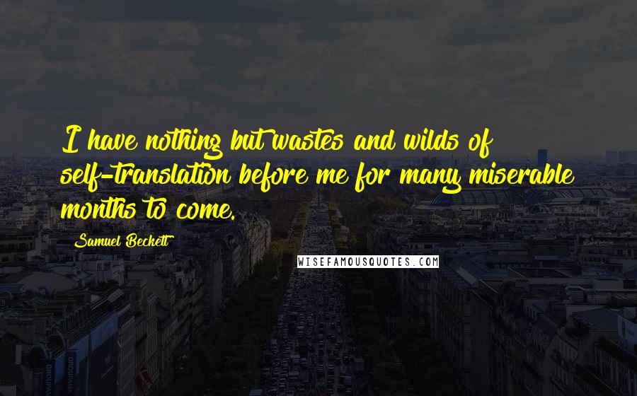 Samuel Beckett Quotes: I have nothing but wastes and wilds of self-translation before me for many miserable months to come.