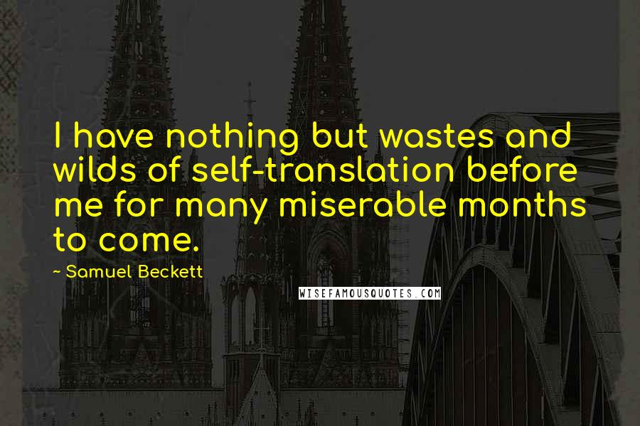 Samuel Beckett Quotes: I have nothing but wastes and wilds of self-translation before me for many miserable months to come.