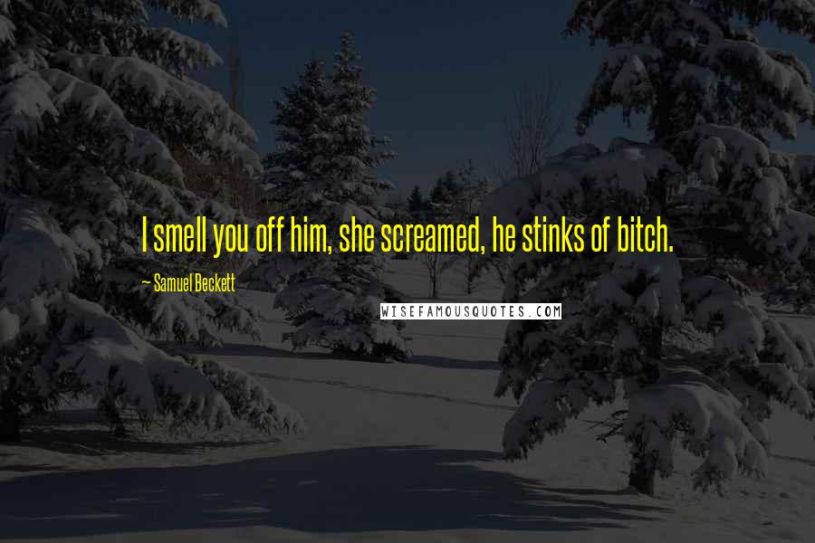 Samuel Beckett Quotes: I smell you off him, she screamed, he stinks of bitch.