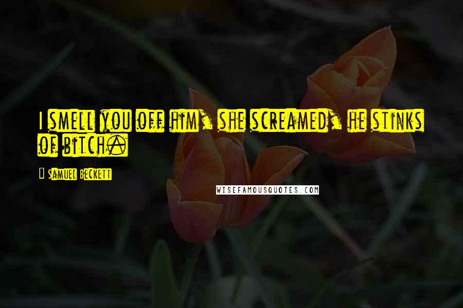 Samuel Beckett Quotes: I smell you off him, she screamed, he stinks of bitch.