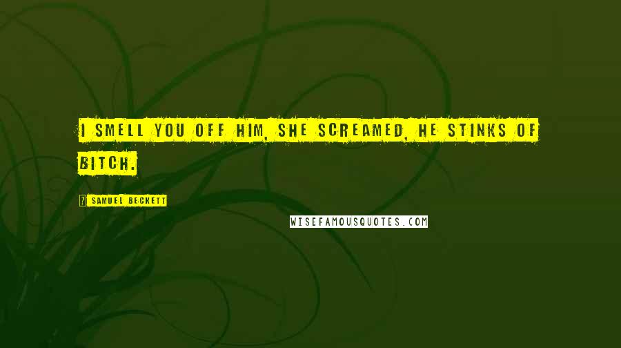 Samuel Beckett Quotes: I smell you off him, she screamed, he stinks of bitch.