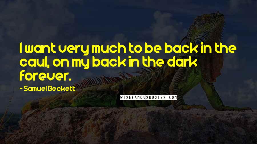 Samuel Beckett Quotes: I want very much to be back in the caul, on my back in the dark forever.