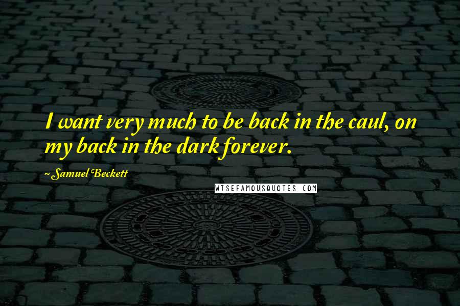 Samuel Beckett Quotes: I want very much to be back in the caul, on my back in the dark forever.