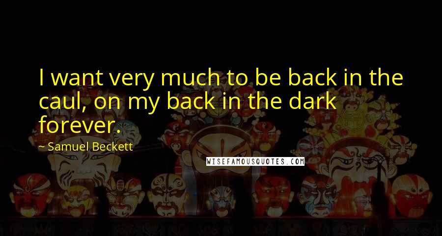 Samuel Beckett Quotes: I want very much to be back in the caul, on my back in the dark forever.