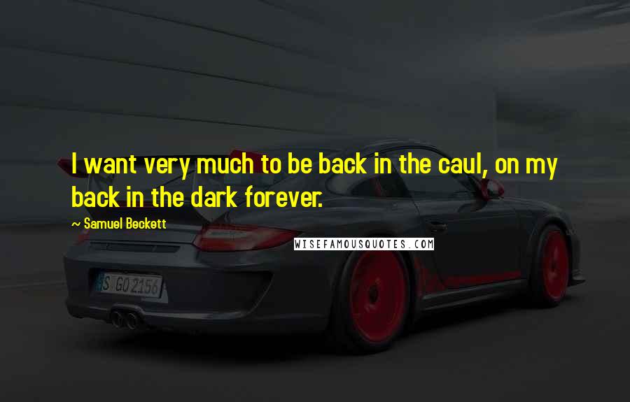 Samuel Beckett Quotes: I want very much to be back in the caul, on my back in the dark forever.