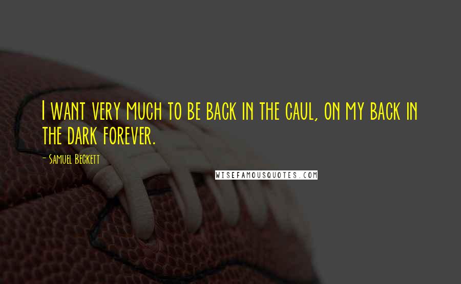 Samuel Beckett Quotes: I want very much to be back in the caul, on my back in the dark forever.