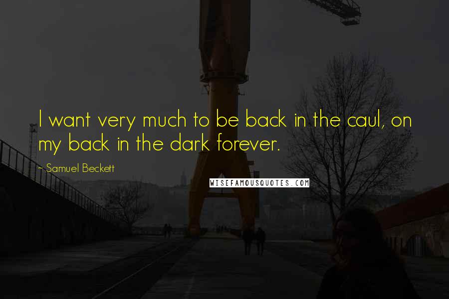 Samuel Beckett Quotes: I want very much to be back in the caul, on my back in the dark forever.