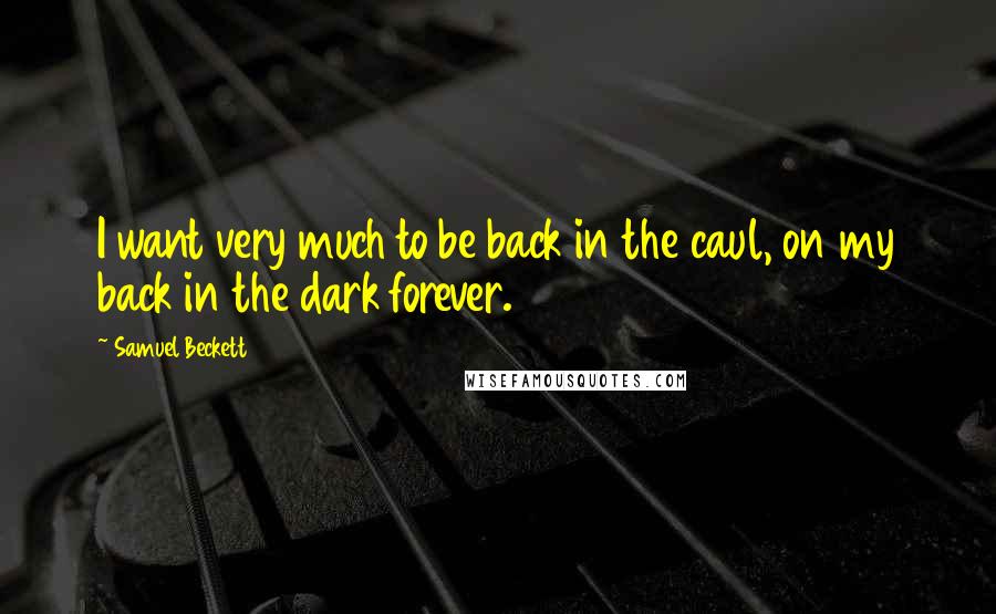 Samuel Beckett Quotes: I want very much to be back in the caul, on my back in the dark forever.