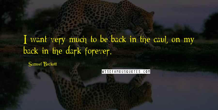 Samuel Beckett Quotes: I want very much to be back in the caul, on my back in the dark forever.