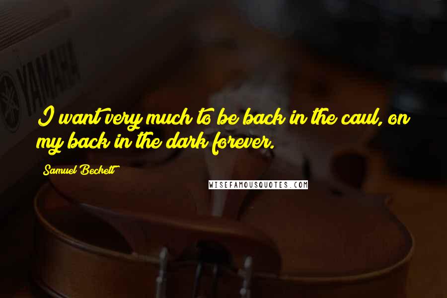 Samuel Beckett Quotes: I want very much to be back in the caul, on my back in the dark forever.