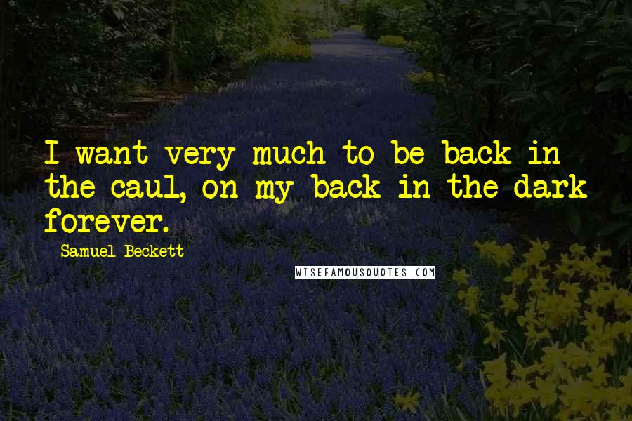 Samuel Beckett Quotes: I want very much to be back in the caul, on my back in the dark forever.