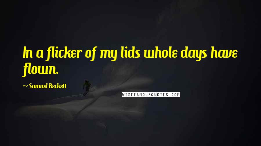 Samuel Beckett Quotes: In a flicker of my lids whole days have flown.