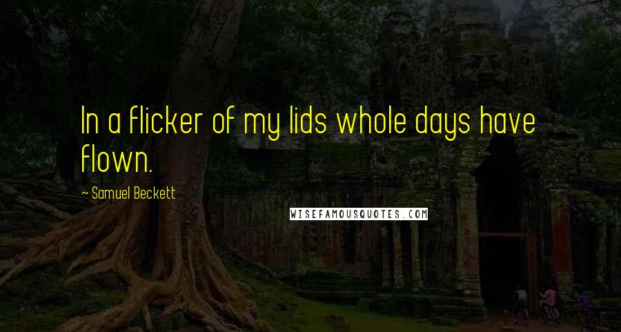 Samuel Beckett Quotes: In a flicker of my lids whole days have flown.