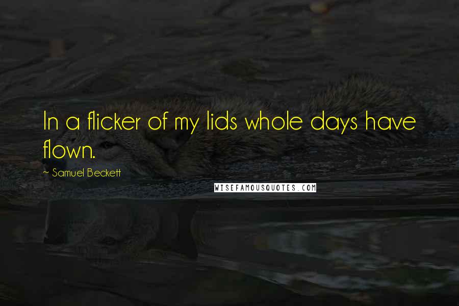 Samuel Beckett Quotes: In a flicker of my lids whole days have flown.