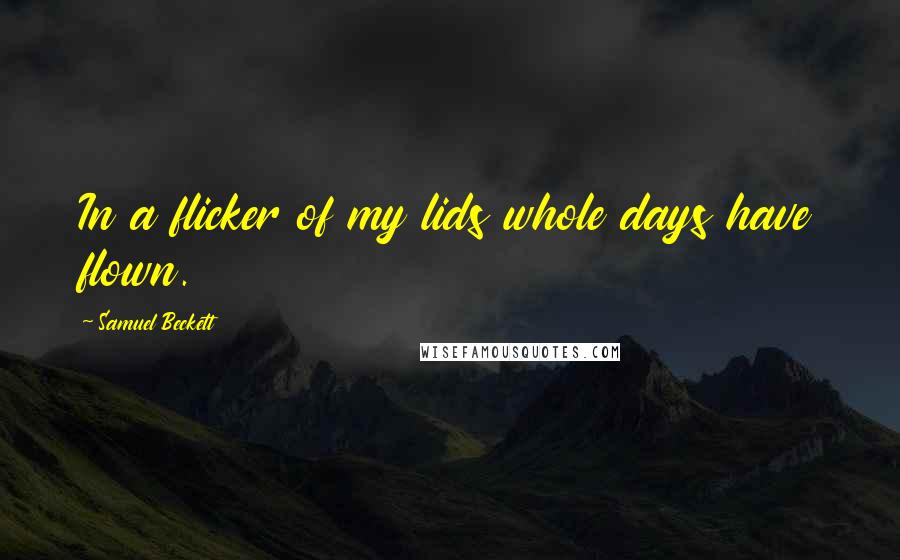 Samuel Beckett Quotes: In a flicker of my lids whole days have flown.