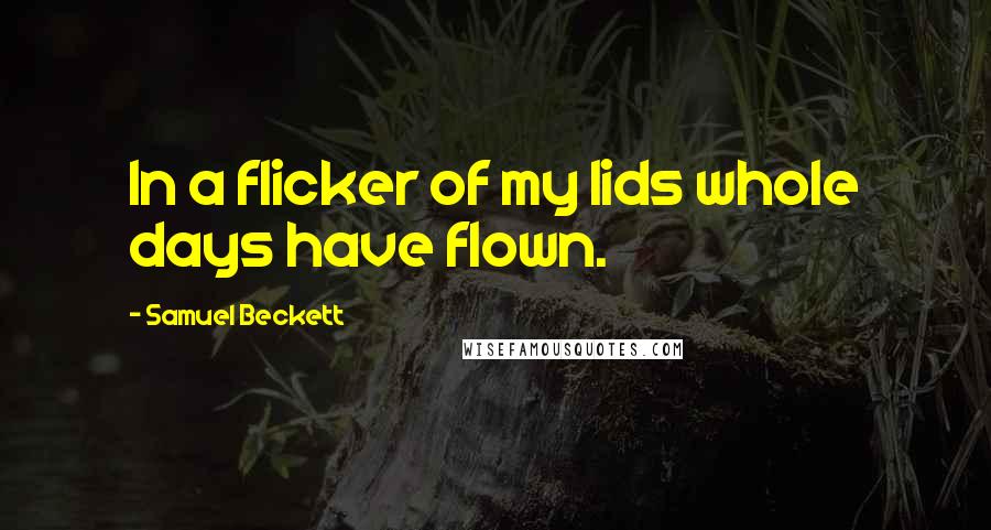 Samuel Beckett Quotes: In a flicker of my lids whole days have flown.