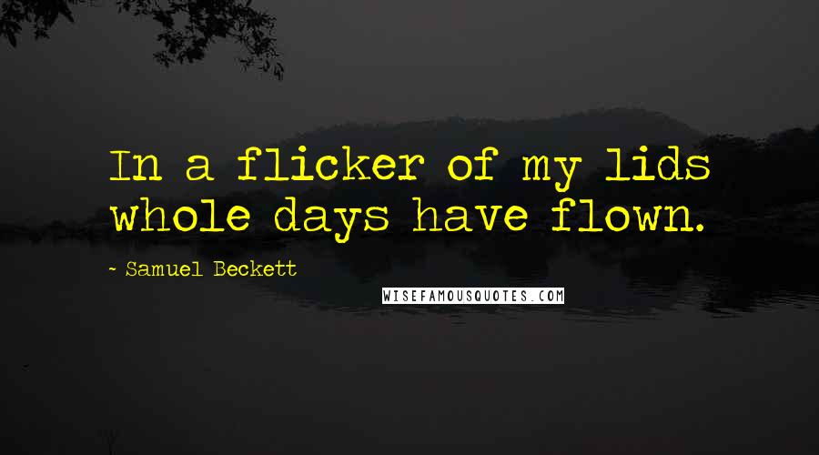 Samuel Beckett Quotes: In a flicker of my lids whole days have flown.