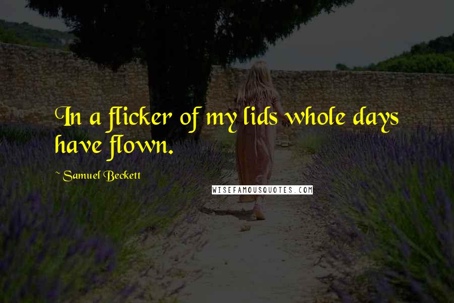 Samuel Beckett Quotes: In a flicker of my lids whole days have flown.