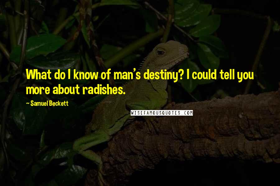 Samuel Beckett Quotes: What do I know of man's destiny? I could tell you more about radishes.