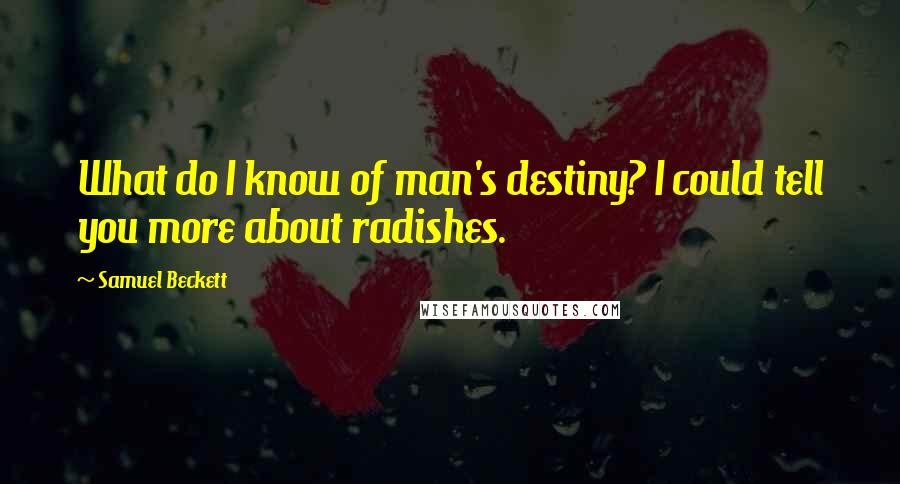 Samuel Beckett Quotes: What do I know of man's destiny? I could tell you more about radishes.