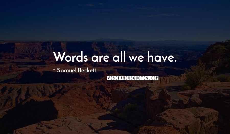 Samuel Beckett Quotes: Words are all we have.