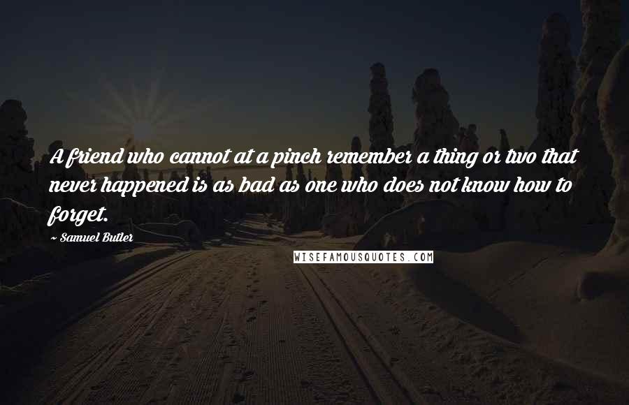 Samuel Butler Quotes: A friend who cannot at a pinch remember a thing or two that never happened is as bad as one who does not know how to forget.