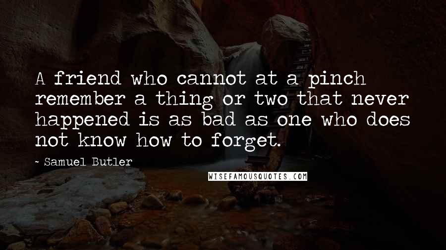 Samuel Butler Quotes: A friend who cannot at a pinch remember a thing or two that never happened is as bad as one who does not know how to forget.