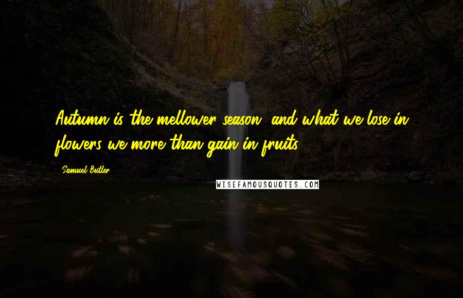 Samuel Butler Quotes: Autumn is the mellower season, and what we lose in flowers we more than gain in fruits.