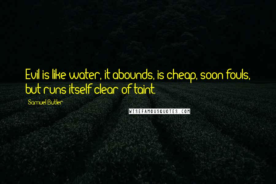 Samuel Butler Quotes: Evil is like water, it abounds, is cheap, soon fouls, but runs itself clear of taint.