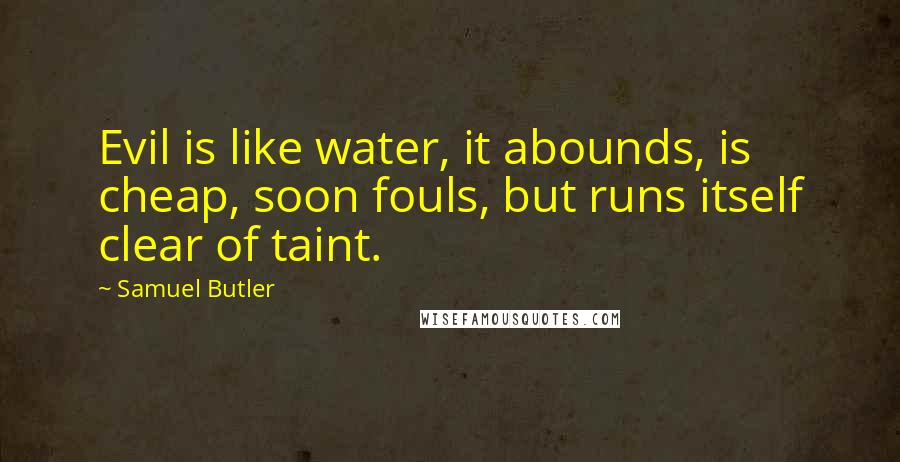 Samuel Butler Quotes: Evil is like water, it abounds, is cheap, soon fouls, but runs itself clear of taint.