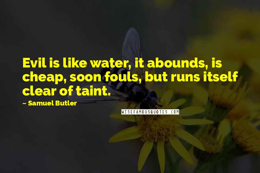 Samuel Butler Quotes: Evil is like water, it abounds, is cheap, soon fouls, but runs itself clear of taint.