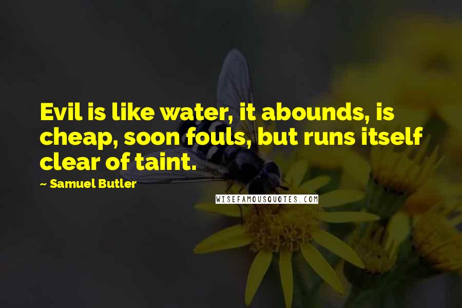 Samuel Butler Quotes: Evil is like water, it abounds, is cheap, soon fouls, but runs itself clear of taint.