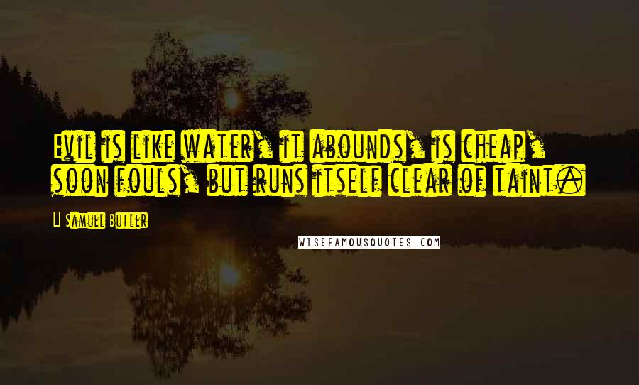 Samuel Butler Quotes: Evil is like water, it abounds, is cheap, soon fouls, but runs itself clear of taint.